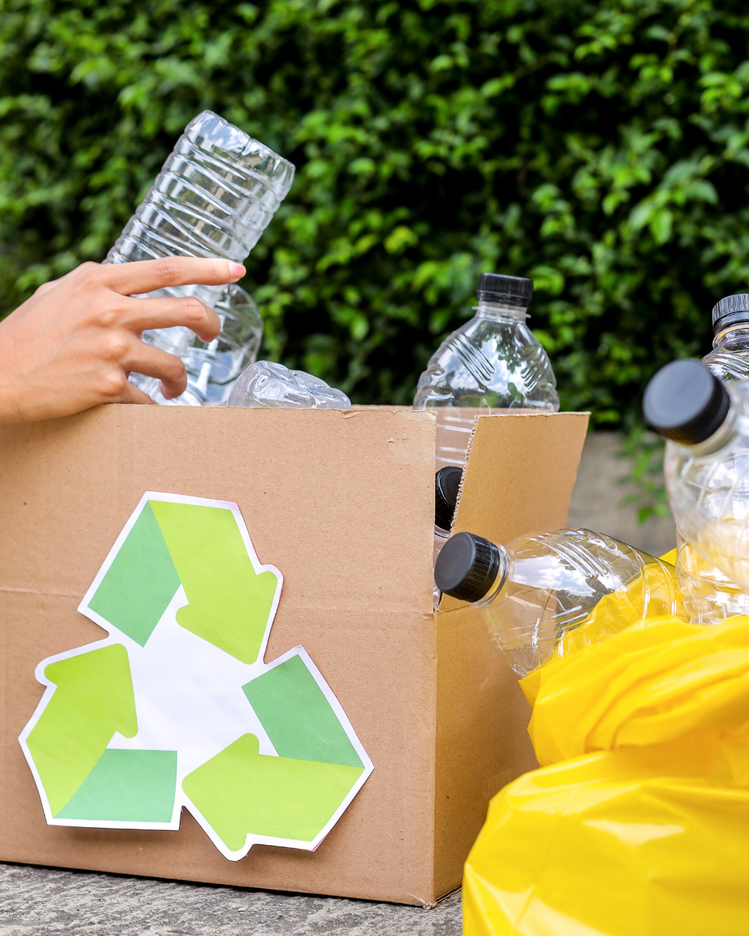 Garbage Disposal Repair Service in FL