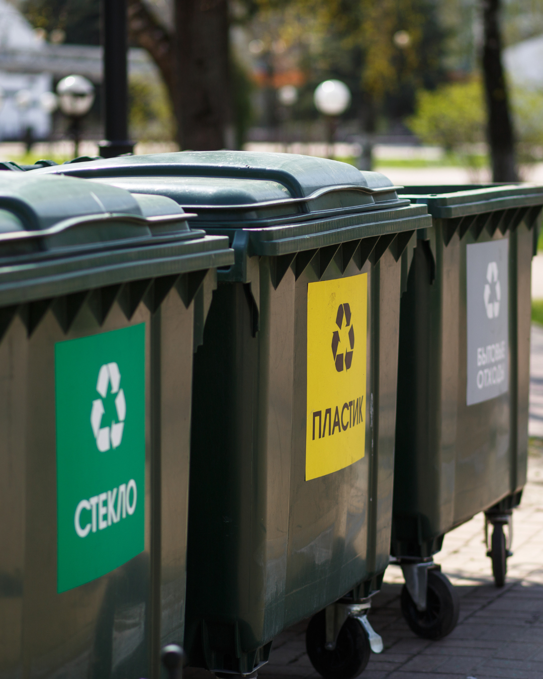 Garbage Disposal Repair Service in FL