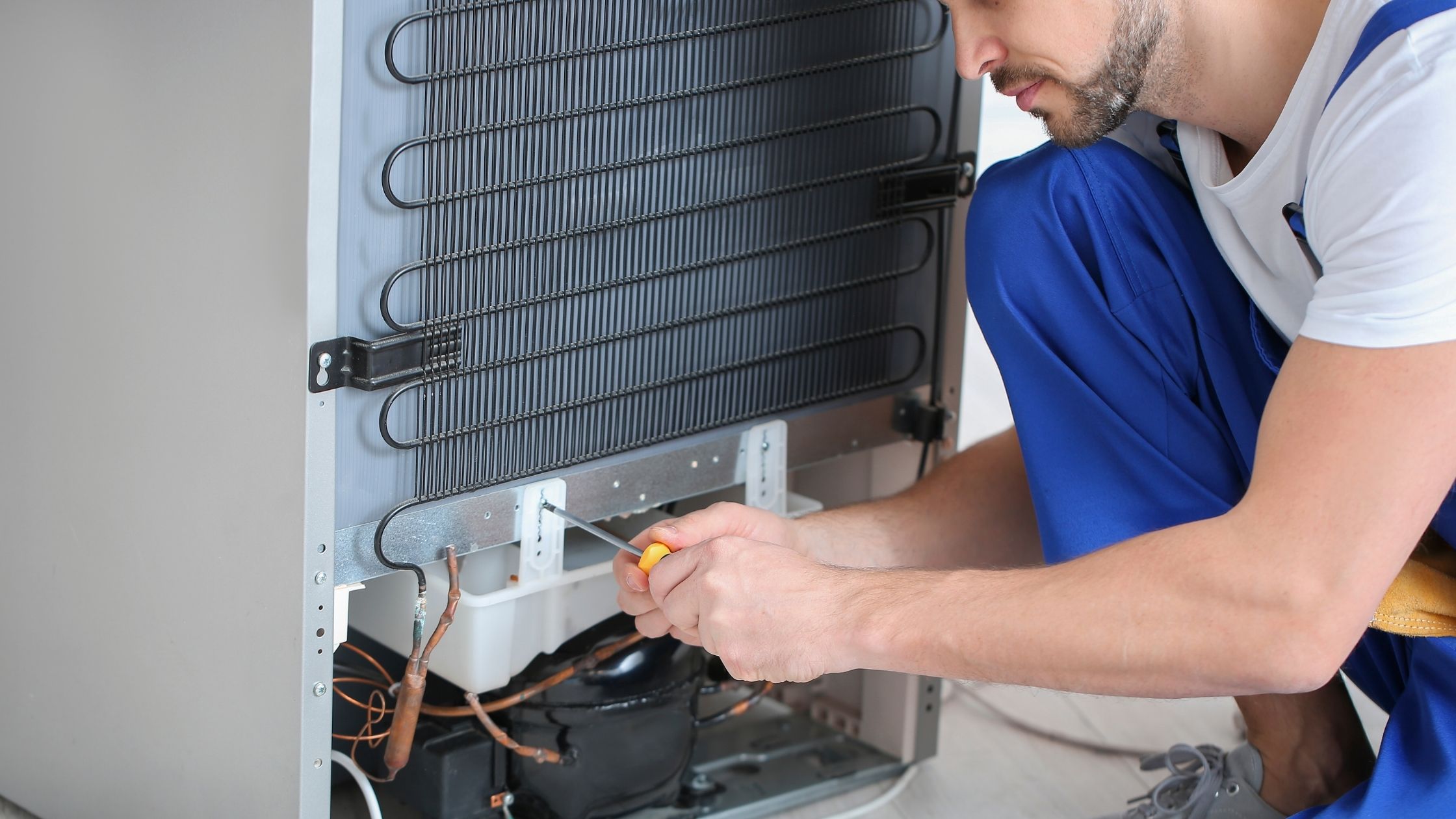 Bosch Appliance Repair Windermere, FL