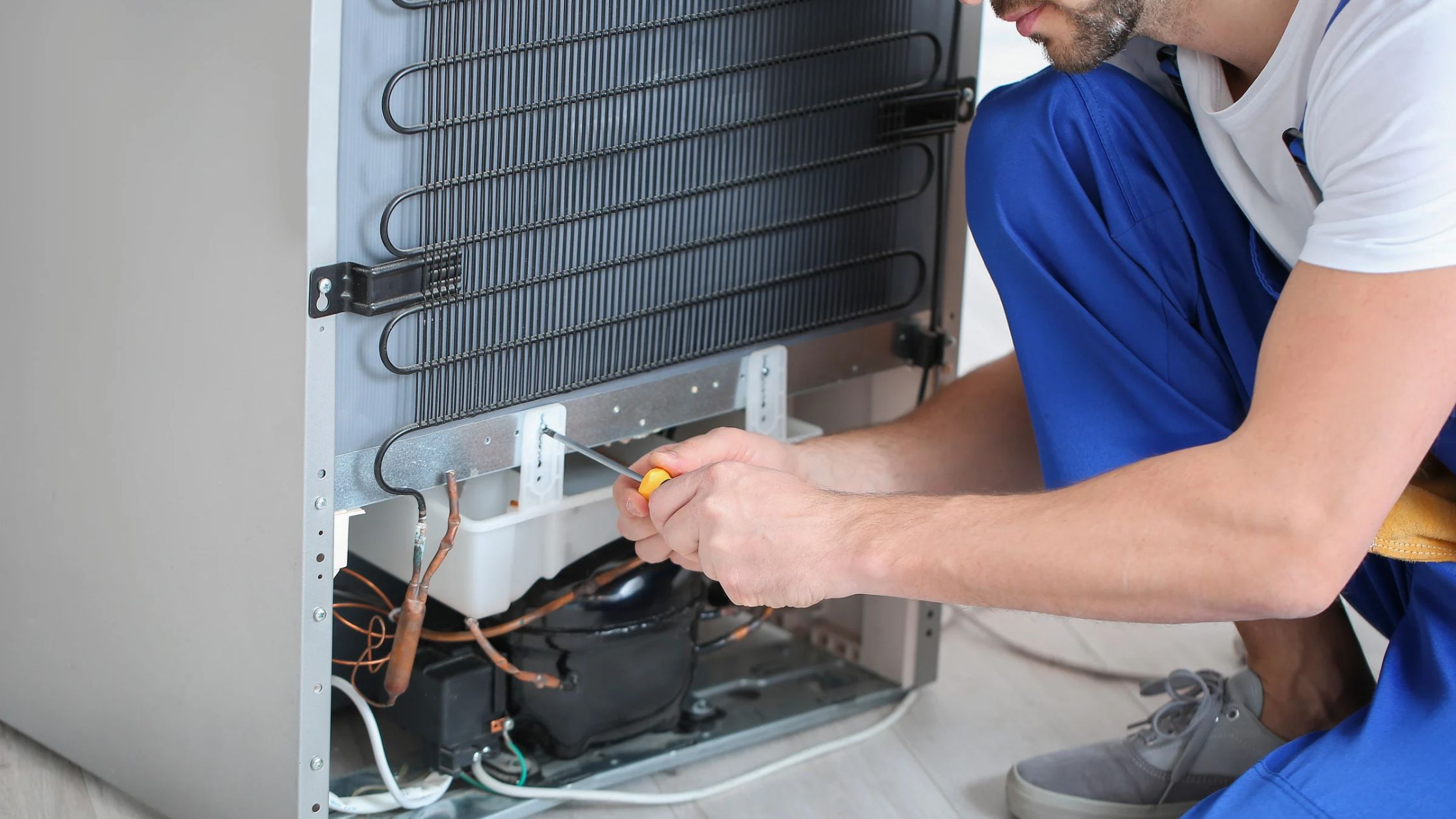 Refrigerator Repair in Lake Mary, FL